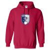 Heavy Blend™ Hooded Sweatshirt Thumbnail