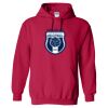 Heavy Blend™ Hooded Sweatshirt Thumbnail